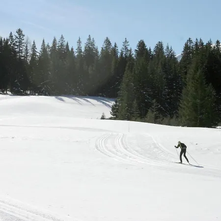 Luxury Holiday In Steiermark, With Terrace シャレー ホーエンタウアーン